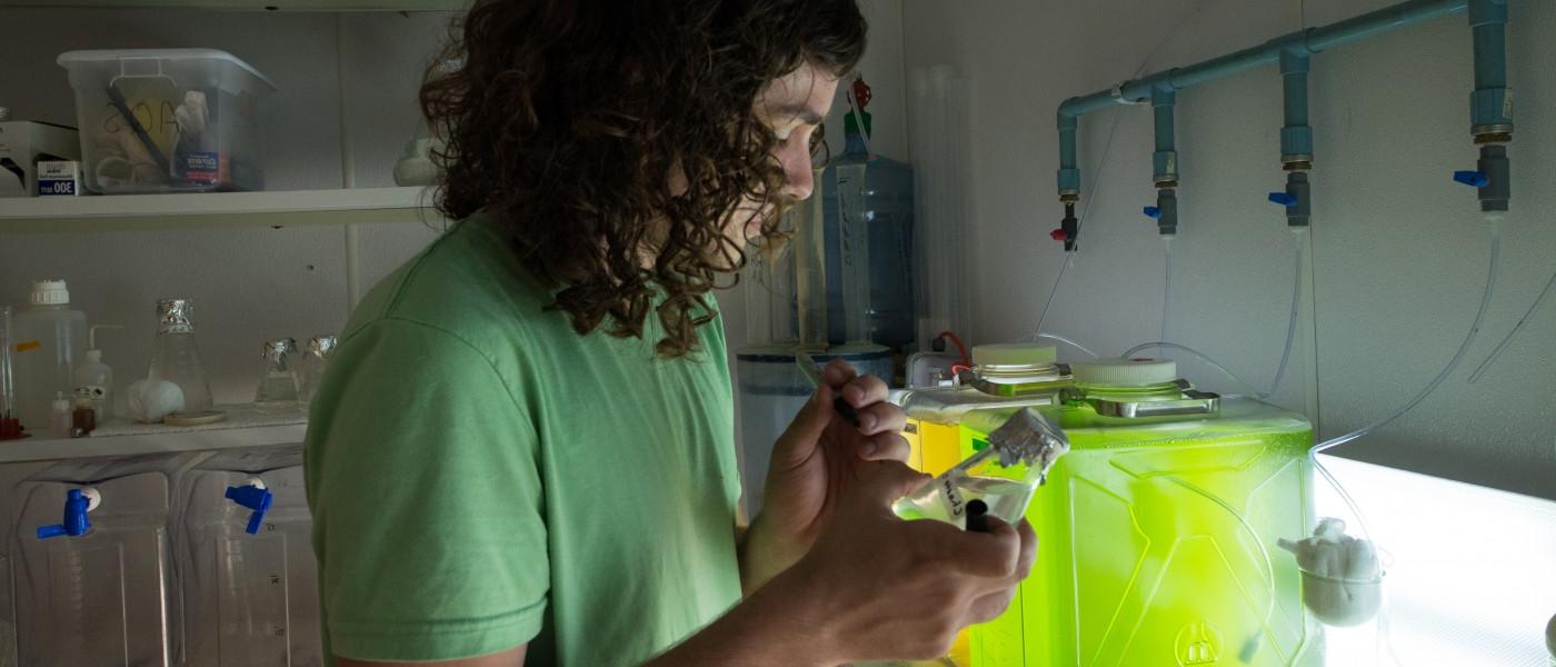 A U N E student works in a lab